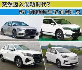 最新爆料车型大全,科技与时尚的完美融合  第1张